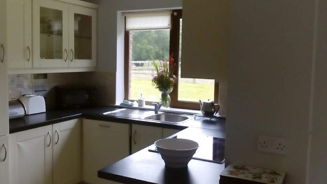 Ardnagashel Woods Villa Bantry Eksteriør billede